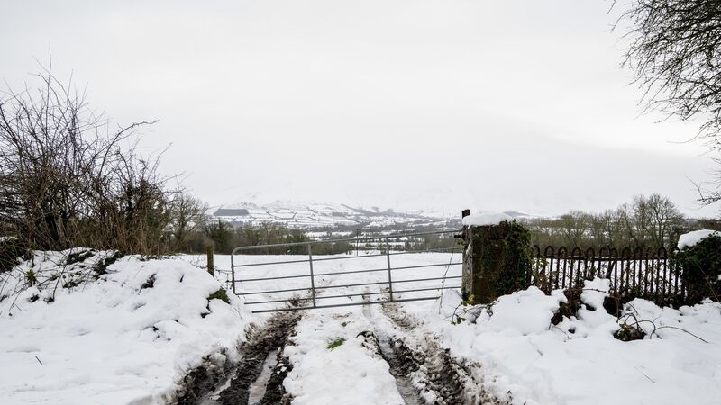 Attention turns to road conditions and potholes across Cork following ice and snow