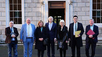 Irish Government formation