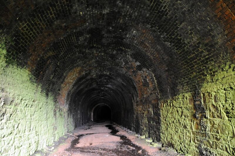 Inside the Goggins Hill railway tunnel (showing the bricked walls) on the old West Cork rail line. Picture: Eddie O'Hare
