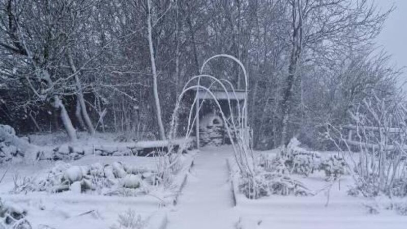 In the garden: Learn from the cold snap to help plants In the garden: Learn from the cold snap to help plants