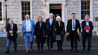 Irish Government formation