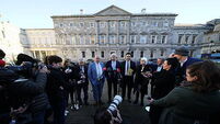 Irish Government formation