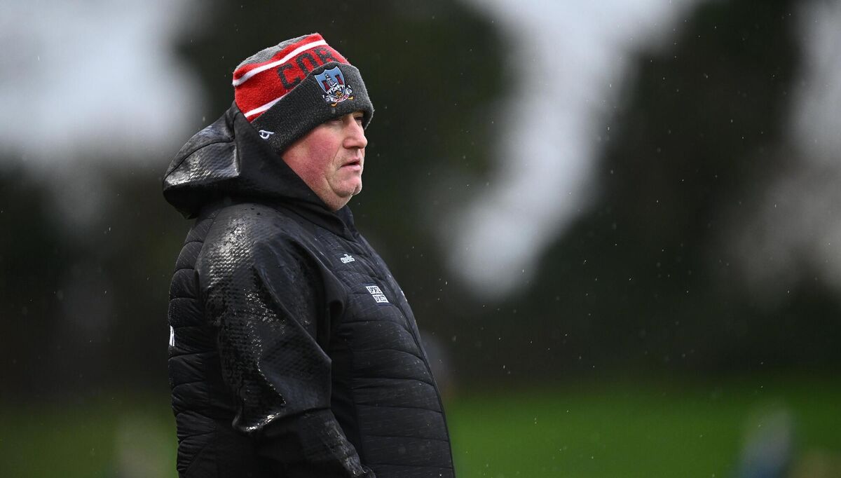 Cork manager Pat Ryan. Picture: Seb Daly/Sportsfile