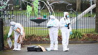 Seventh arrest made in connection with death of man in Bray