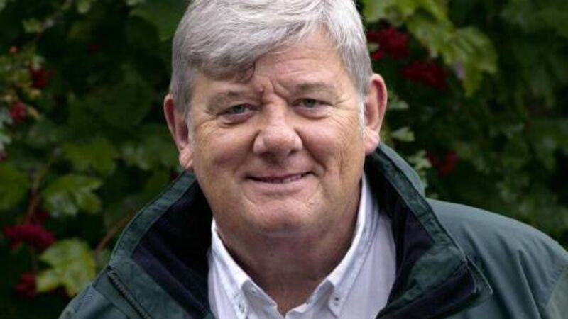 Books: For brilliant Creedon, home is always where the heart is...