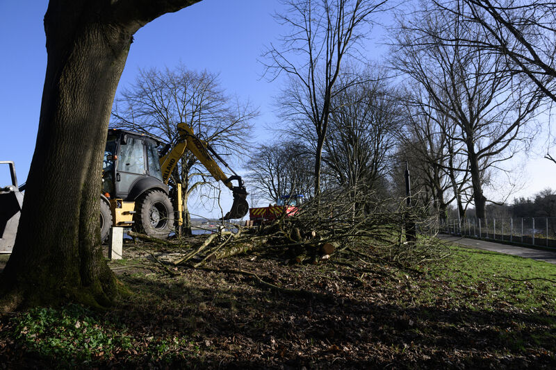  Council workers clear the path from a fallen tree at the Marina. Picture Dan Linehan