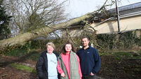 Watch: Fallen tree during Storm Éowyn forces evacuation for North Cork family
