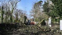 Three weather warnings for Cork tomorrow