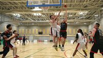 Ballincollig basketballers outgun Templeogue in Super League rout