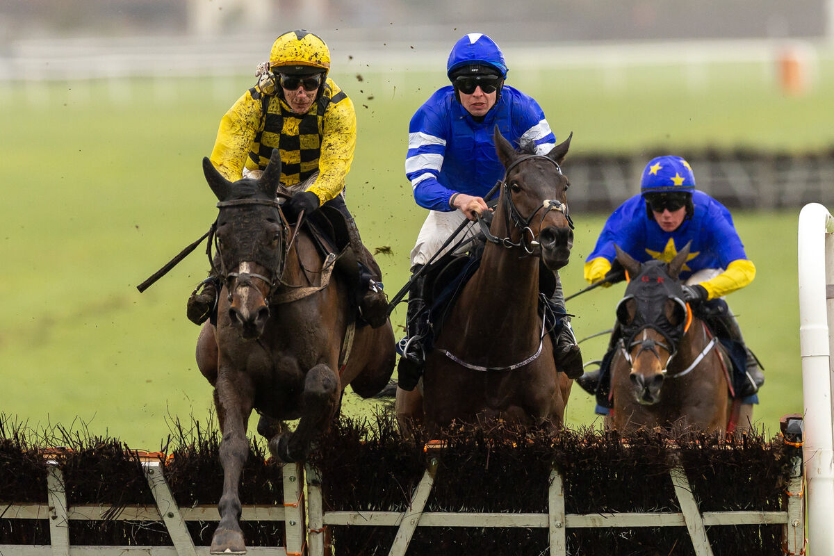 Paul Townend on Anzadam holds off Philip Byrnes on Laafi to win The Naas Racecourse Business Club Limestone Lad Hurdle (Grade 3). Picture: INPHO/Morgan Treacy Paul Townend on Anzadam holds off Philip Byrnes on Laafi to win The Naas Racecourse Business Club Limestone Lad Hurdle (Grade 3). Picture: INPHO/Morgan Treacy
