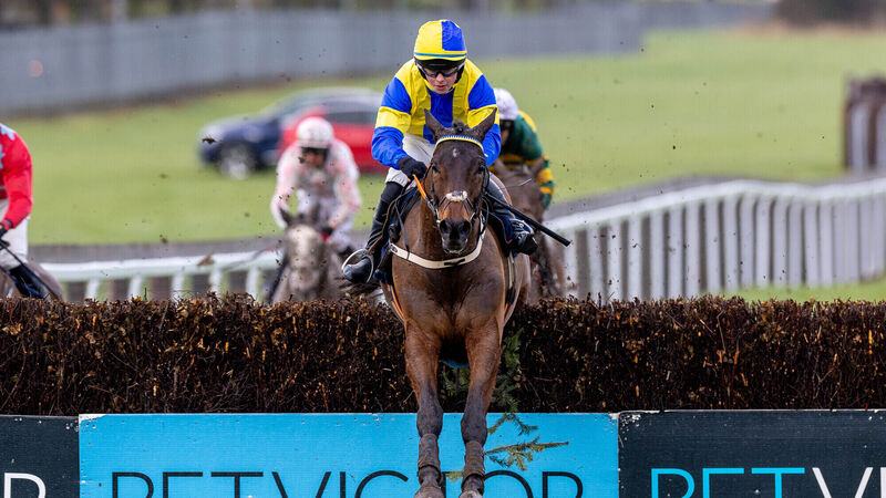 Cork success at Naas as Answer to Kayf delivers for Terence O'Brien and Paul Towend lands treble