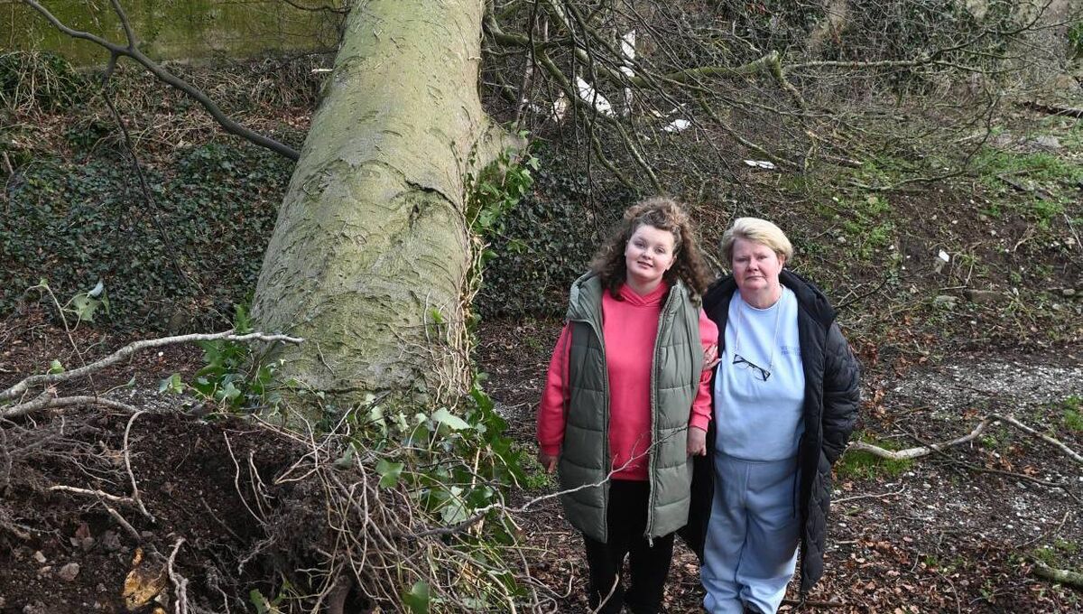 Angela Ducey and daughter Áine beside a tree that fell at their home in Killavullen, Co Cork, in Storm Éowyn. Picture: Larry Cummins Angela Ducey and daughter Áine beside a tree that fell at their home in Killavullen, Co Cork, in Storm Éowyn. Picture: Larry Cummins