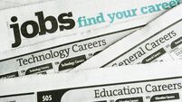 Job Search and Employment, Occupation Opportunity Classified Ad Newspaper Page
