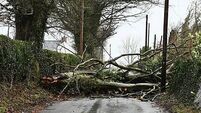Winter weather Jan 24th 2025