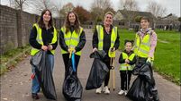 All About Cork: Busy year ahead for Mahon Tidy Towns group
