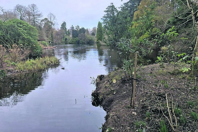 View across the lake at Altamont in Co. Carlow last weekend, as it held its Snowdrop Gala
