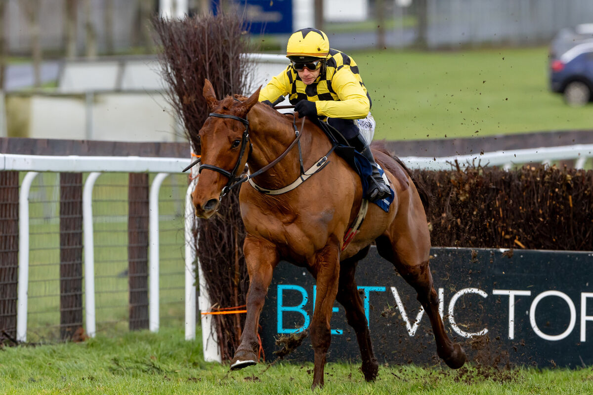 Paul Townend on Dancing City wins The Finlay Ford At Naas Novice Steeplechase (Grade 3). Picture: INPHO/Morgan Treacy Paul Townend on Dancing City wins The Finlay Ford At Naas Novice Steeplechase (Grade 3). Picture: INPHO/Morgan Treacy