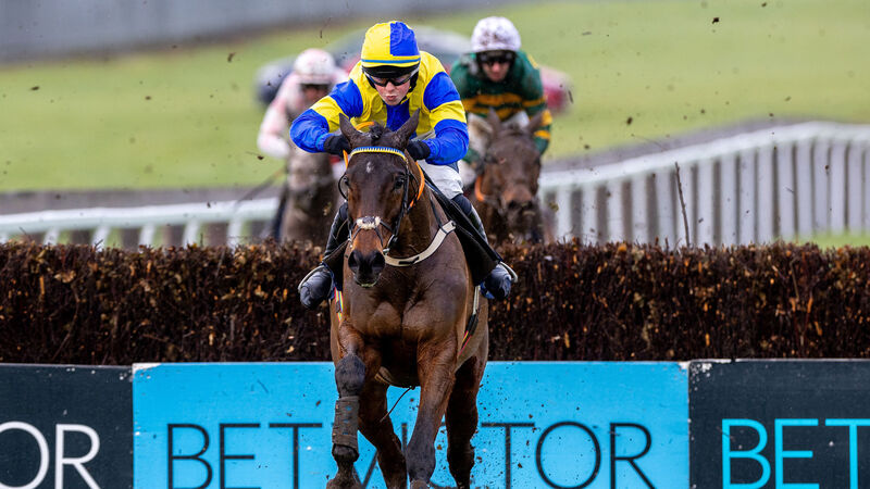Terence O'Brien's Answer to Kayf in Cheltenham equation after convincing success at Naas Terence O'Brien's Answer to Kayf in Cheltenham equation after convincing success at Naas