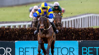 John Shinnick on Answer to Kayf wins 25/1/2025