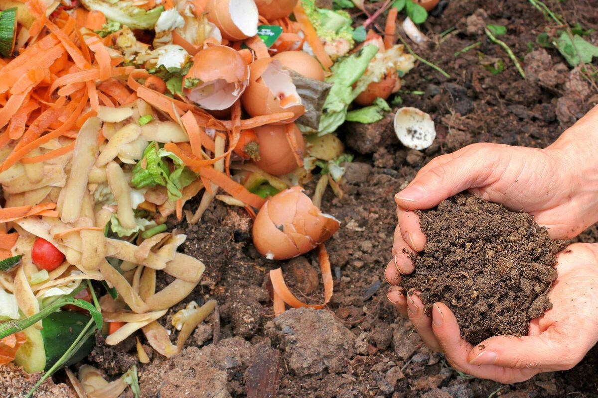 Attendees heard how food waste can be repurposed into usable soil. Attendees heard how food waste can be repurposed into usable soil.