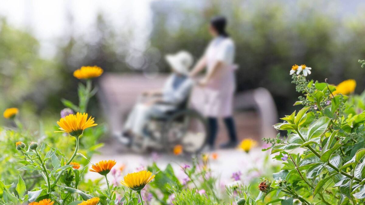 Most staff at care centre ‘unwilling to drive wheelchair bus’, Hiqa inspection finds
