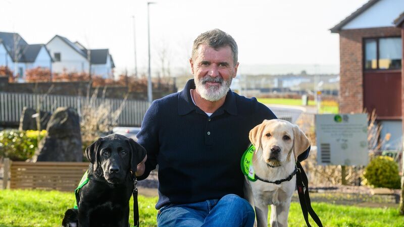 Roy Keane leads call for more puppy raisers Roy Keane leads call for more puppy raisers