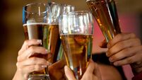 Friends making a toast at the bar
