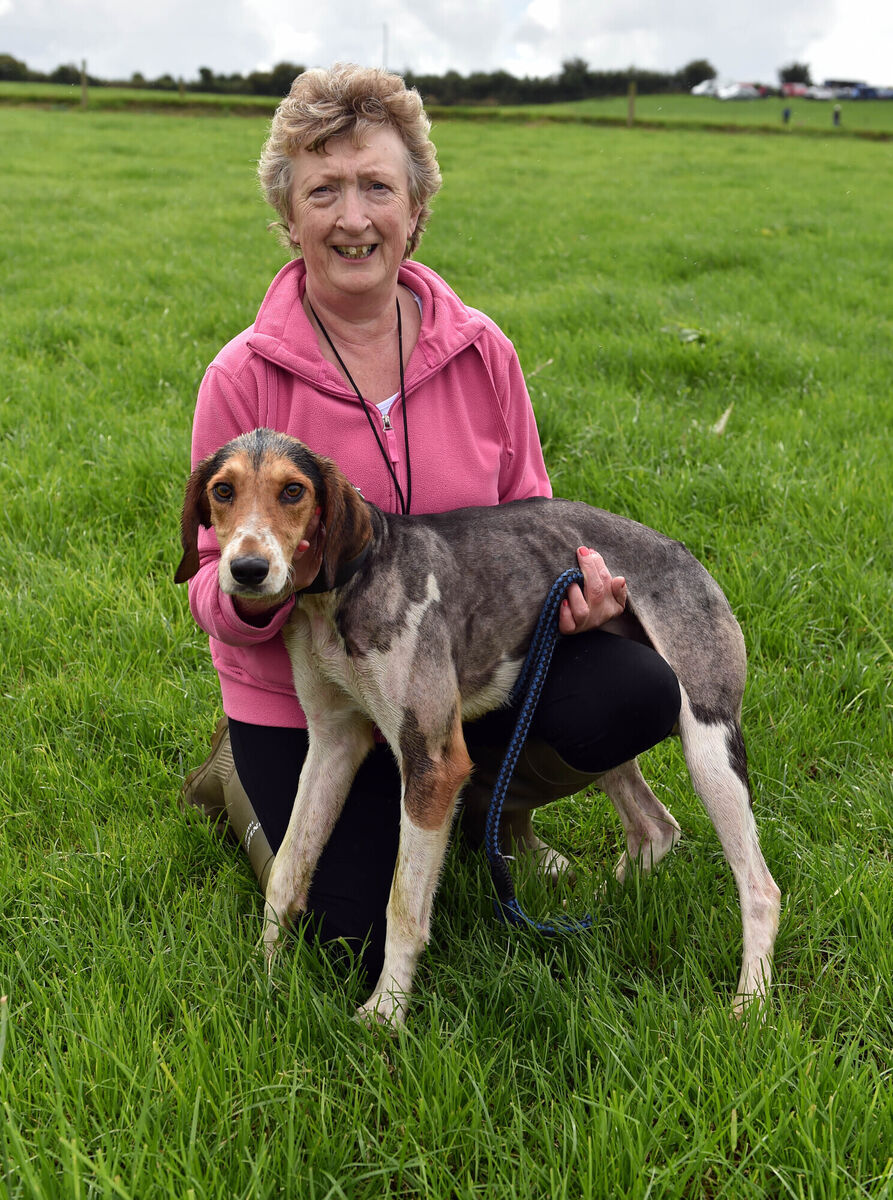 Marie Keating with Dark Destroyer, Kerrypike harriers after winning the open puppy drag at the Evening Echo Donal O'Mahony memorial draghunt at Blarney. Picture: Eddie O'Hare