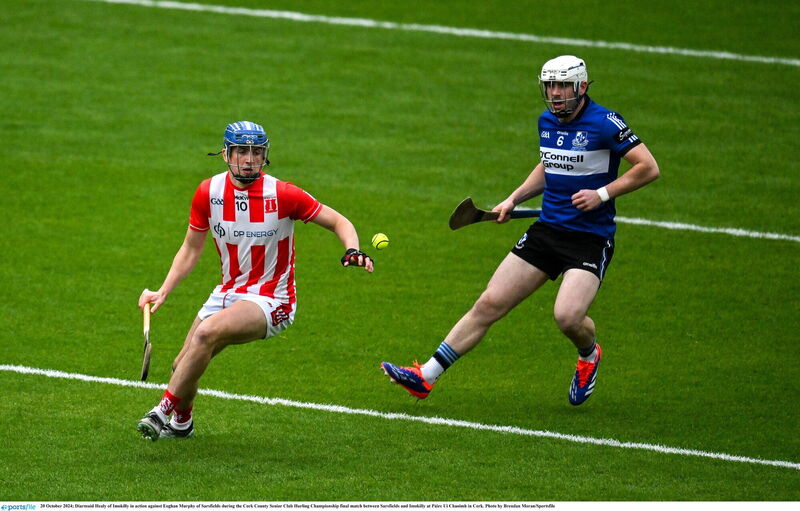 Diarmuid Healy is seen by many as a long-term replacement for Seamus Harnedy. Picture: Brendan Moran/Sportsfile Diarmuid Healy is seen by many as a long-term replacement for Seamus Harnedy. Picture: Brendan Moran/Sportsfile
