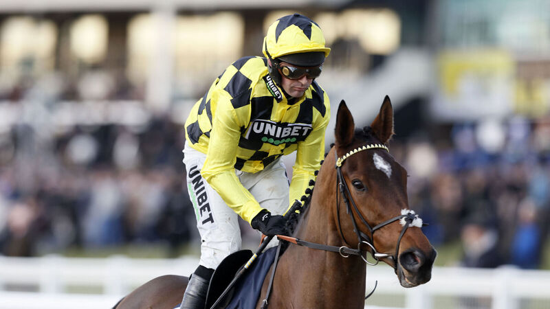 Blow for Cork owners as Sir Gino ruled out of Cheltenham
