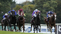 Leopardstown Races