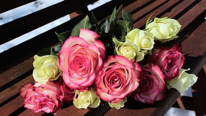 Poll: Do you think Valentine's Day is a marketing ploy or a time to rekindle love? Poll: Do you think Valentine's Day is a marketing ploy or a time to rekindle love?