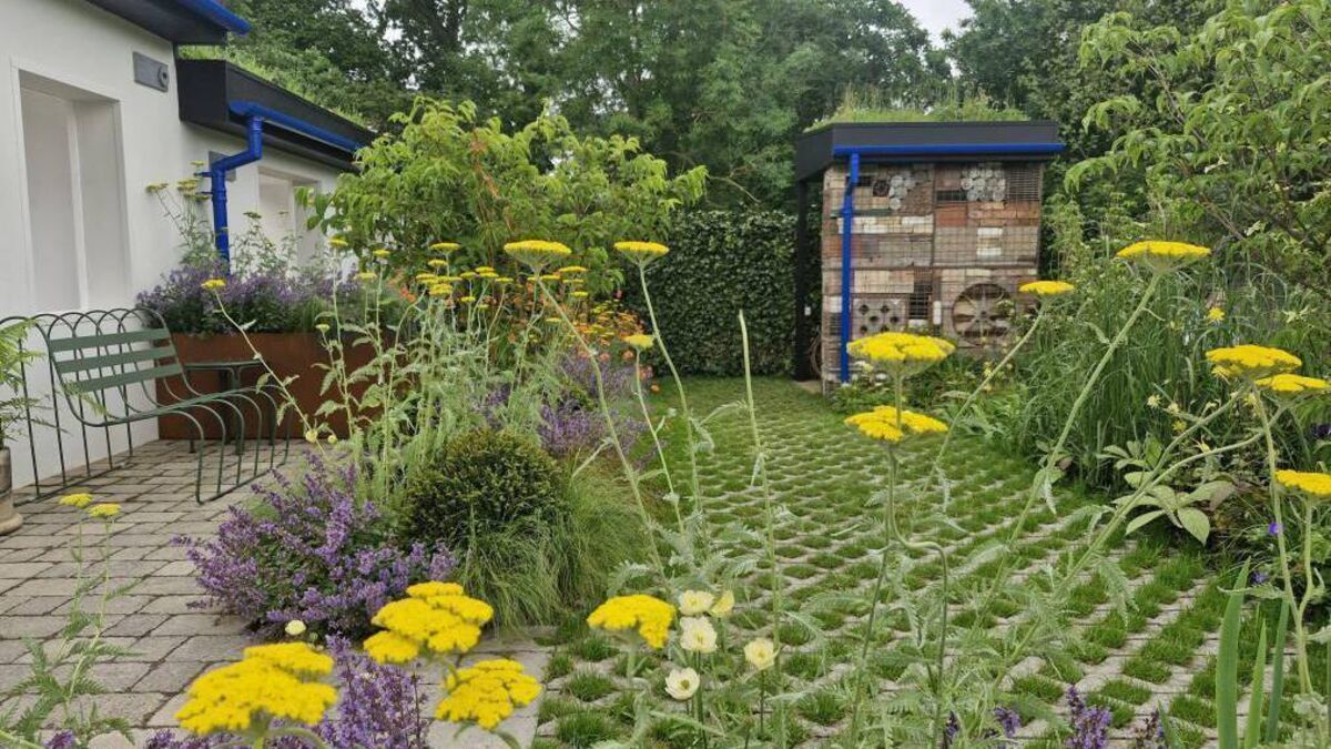 In the garden: 10 ways to be a sustainable gardener