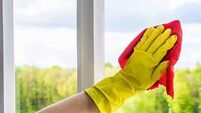 Window cleaning. A young woman sprays a cleaner on glass. Housework concept.