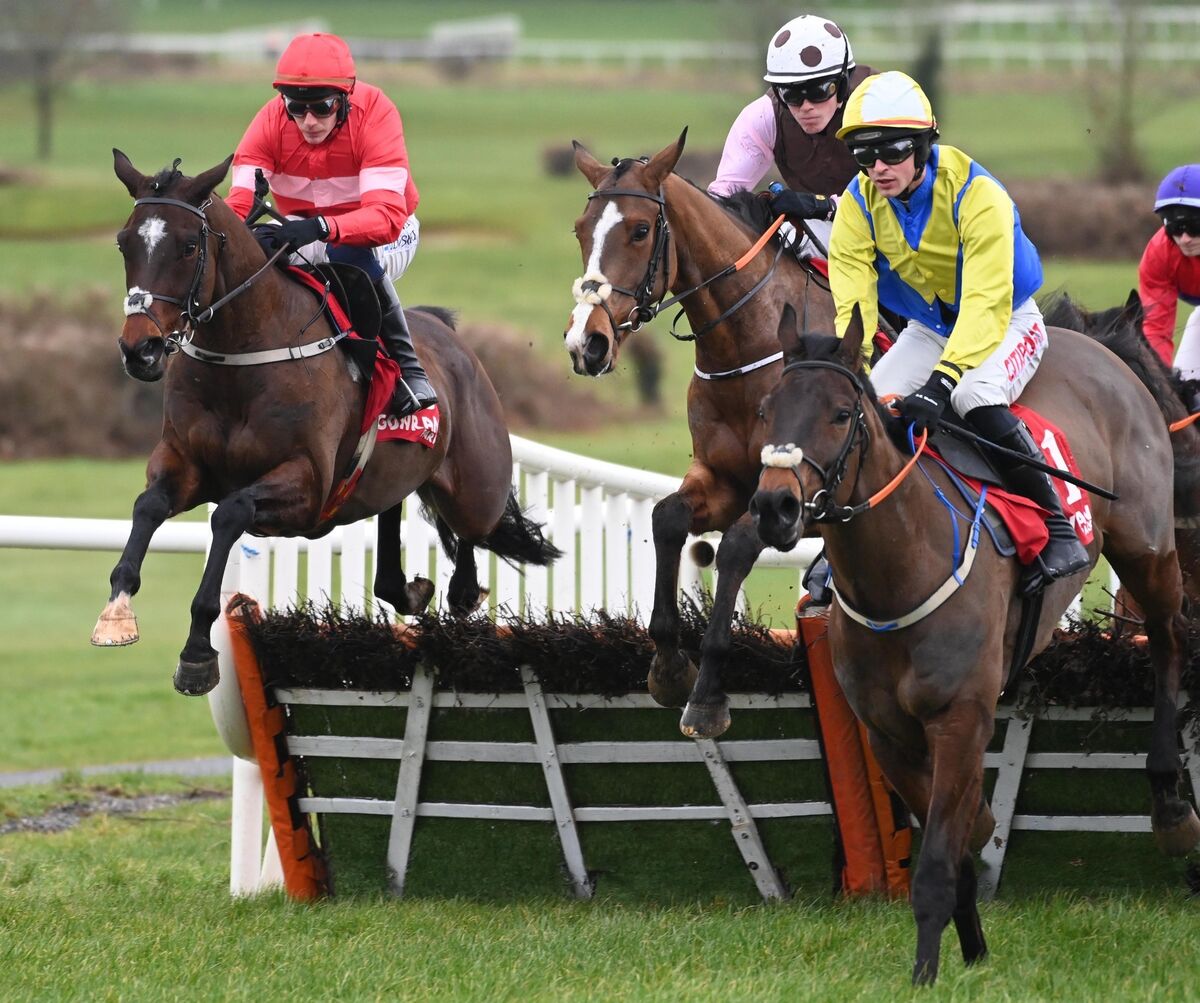 Blue Lemons and Paul Townend (left) win the Sea Moon &amp; Jukebox Jury At Burgage Stud Maiden Hurdle. Picture: Healy Racing