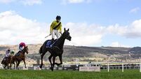 Cheltenham Racing Festival - Day One