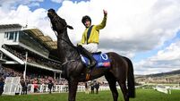 Cheltenham Racing Festival - Day One