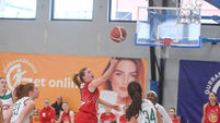 Brunell basketballers battle hard but fall to double-chasing Liffey Celtics