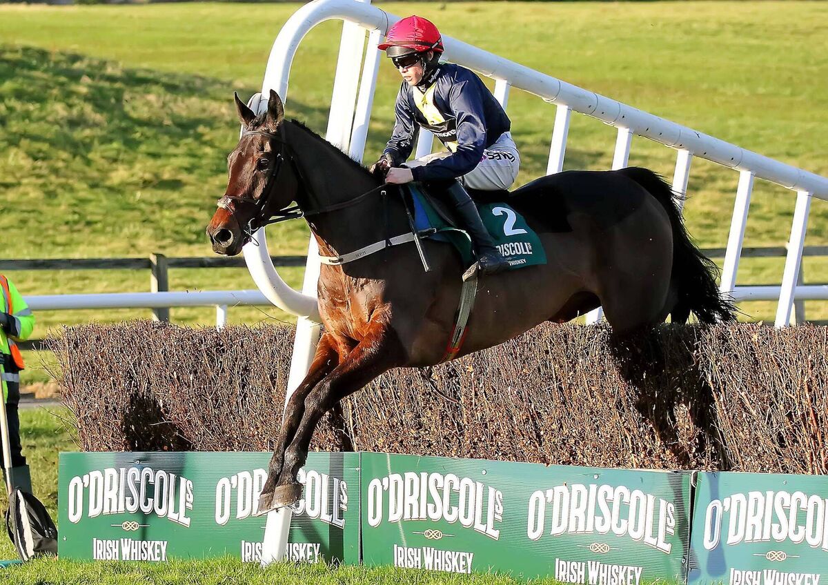 The late Michael O'Sullivan on board Embassy Gardens jumping the last to win the O'Driscoll's Irish Whiskey Chase at Tramore on New Years Day. Photos: Noel Browne. The late Michael O'Sullivan on board Embassy Gardens jumping the last to win the O'Driscoll's Irish Whiskey Chase at Tramore on New Years Day. Photos: Noel Browne.