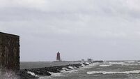 Windy weather