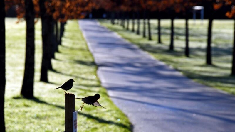 All About Cork: Biodiversity hub to open this week in Ballincollig park