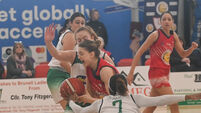 Cork Basketball: Glanmire and Brunell hit the road as Fr Mathew's host Liffey Celtics