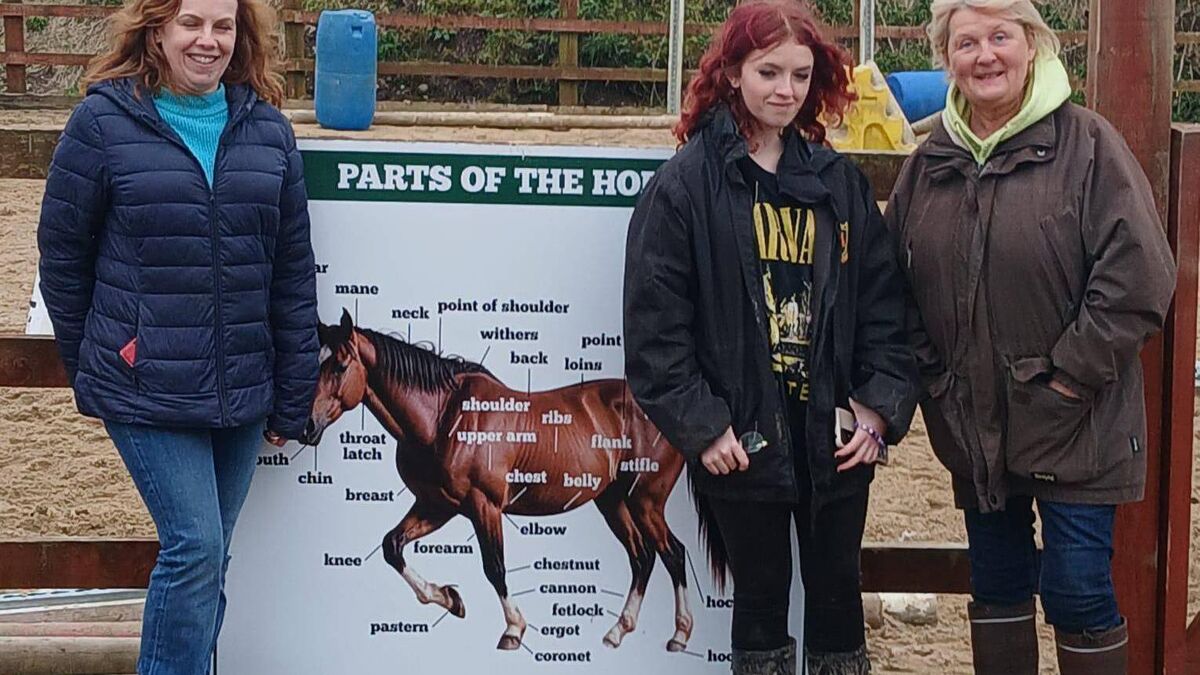 Equine therapy: 'I enjoyed being with the horses as they calmed me'