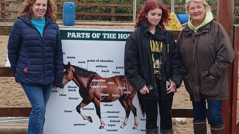 Equine therapy: 'I enjoyed being with the horses as they calmed me' Equine therapy: 'I enjoyed being with the horses as they calmed me'