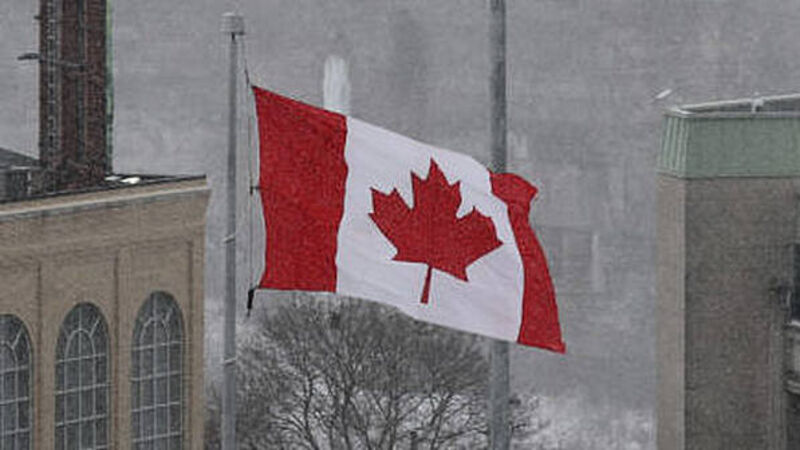 Canadian Government issues catfish advice to residents travelling to Ireland Canadian Government issues catfish advice to residents travelling to Ireland