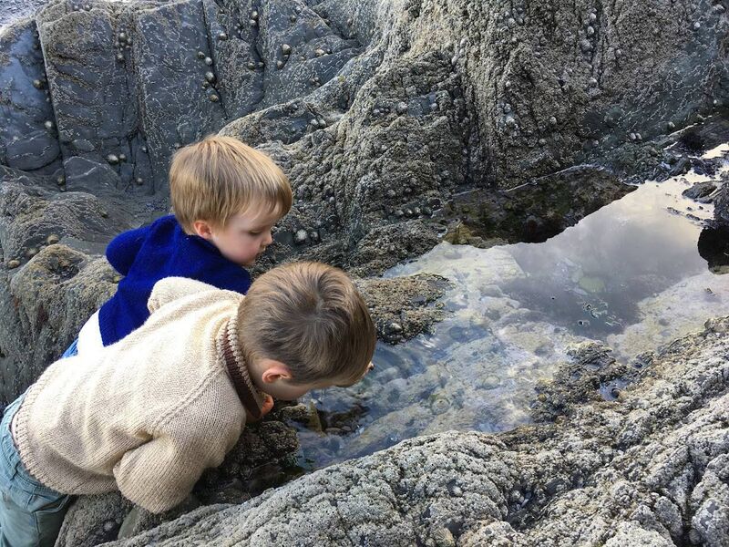 Ann's two boys were encouraged to explore the natural world from an early age. Picture: Ann Haigh Ann's two boys were encouraged to explore the natural world from an early age. Picture: Ann Haigh