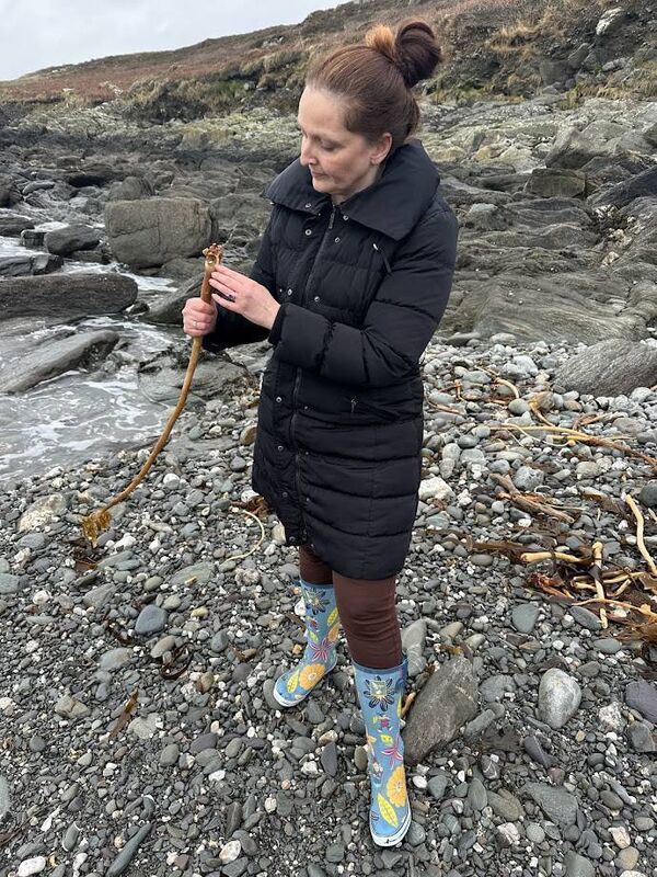 Ann highlighting the presence of a blue-rayed limpet nestled in a kelp holdfast. Picture: Nick Haigh Ann highlighting the presence of a blue-rayed limpet nestled in a kelp holdfast. Picture: Nick Haigh