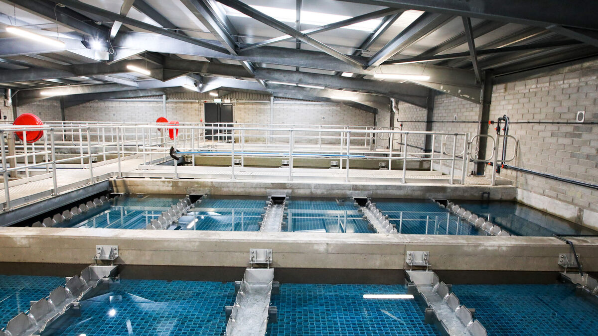 Illness complaints to Uisce Éireann surge by 103% in two years since new Cork treatment plant opens