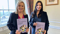 Draft programme for government unveiled
