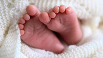 Baby Stock